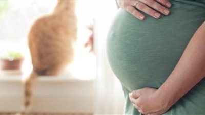 زيادة حدة الالتهابات أثناء فترة الحمل تزيد خطر حدوث مشكلات بالمخ