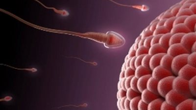 «بريطانيا» تعانى نقصًا حادًا في «الحيوانات المنوية»