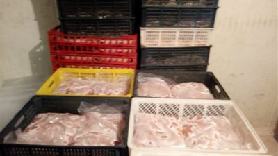ضبط ٢١٠٨ كيلو دواجن فاسدة في حلوان (صور)