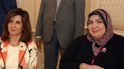 مساعد وزيرة الهجرة: نشجع استثمارات المصريين بالخارج داخل مصر