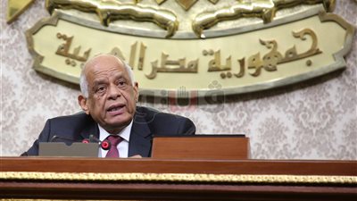 رئيس البرلمان يرفض مهاجمة معارضي التعديلات الدستورية