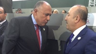 بالصور.. لقاء«بارد» بين شكري ونظيره التركي في فنزويلا