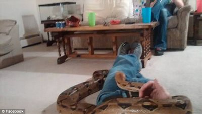 بالصور.. رجل يفشل في السيطرة على ثعابينه بحديقة عامة