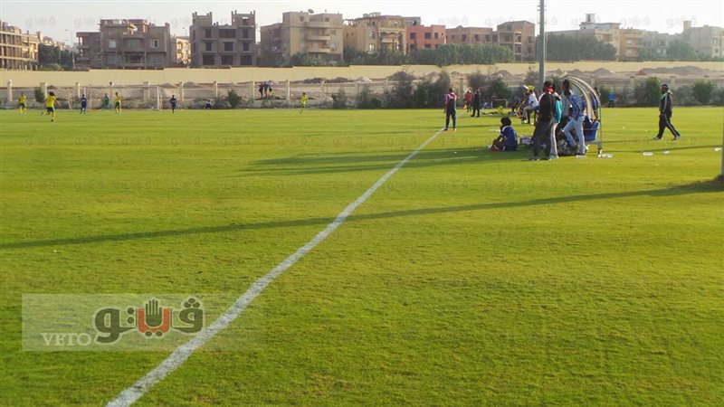 فيتو