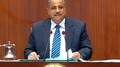 فهمى يؤكد متانة العلاقات بين مصر وتركيا بعد ثورة 25 يناير