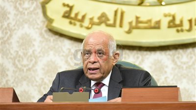 عبد العال لـ«ضياء داوود»: تعديل الدستور يضمن بقاء الدولة