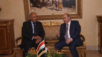 سامح شكري يلتقي نائب الرئيس العراقي (صور)