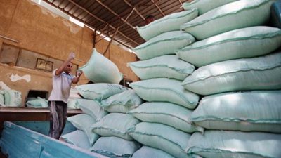 مصادر بالتموين: نواب في البرلمان يطالبون بحصة من الأرز لدوائرهم