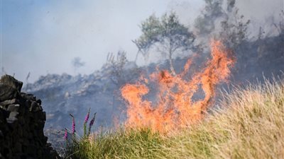 حريق ضخم في غابات بريطانيا بسبب ارتفاع درجات الحرارة (صور)