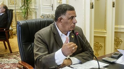 وهب الله: إضافة مواد جديدة لقانون العمل لضمان حقوق العمالة الموسمية