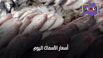 اسعار الأسماك اليوم | تعرف على الأسعار في سوق العبور اليوم 2019/7/7