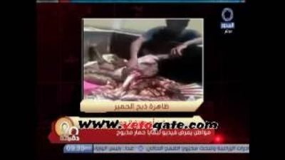 مواطن يبيع لحوم الحمير في الشارع.. الأعلى قراءة في «توك شو فيتو»