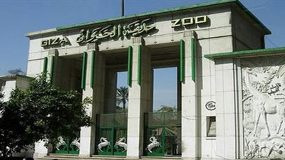 فرد أمن حديقة الحيوان: الحريق بسبب ماس كهربائى وليس جنائيا