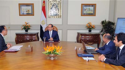 عمرو نصار يستعرض مع السيسي إستراتيجية العمل بوزارة الصناعة