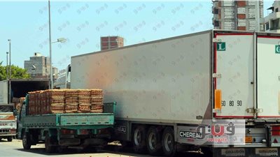 تهريب الخضراوات والفاكهة والأسماك لليبيا يشعل الأسعار في الإسكندرية