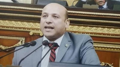 برلماني: التحفيز أفضل من التجريم في مواجهة الانفجار السكاني