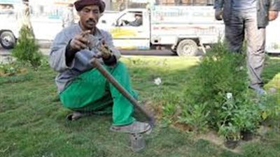 عمال التشجير: رواتبنا لا تتعدى 40 جنيهًا شهريًّا