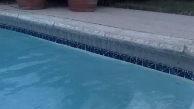 رجل يرصد أثر زلزال على حمام سباحة (فيديو)