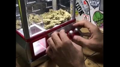 شاب يفوز بقطعة «حشيش» في لعبة (فيديو)