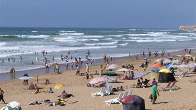 ذعر بين المصطافين بأحد شواطئ مطروح بسبب تمساح وسلحفاة وثعبان