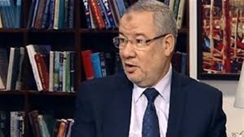  حسن محمد عمر، مستشار