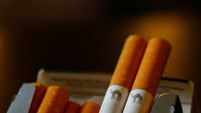 الشرقية للدخان تطالب بزراعة التبغ في مصر لتوفير مليار دولار