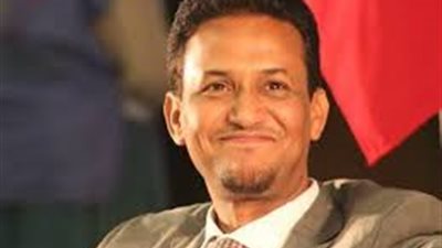 أكاديمي مقرب من الإخوان: الإسلاميون لا ينتمون للدولة العثمانية