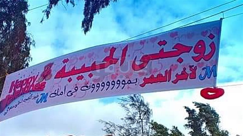 فيتو
