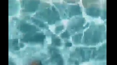 بالفيديو.. قاع حمام سباحة يثير رعب مشاهديه