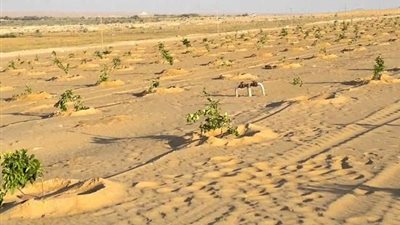 «الريف المصري» تنقذ أحلام الشباب بالطرح التكميلي.. «تقرير»