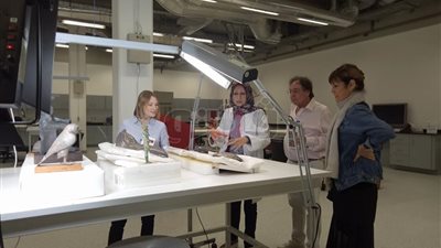 وفد بريطاني من شركة gleeds يزور المتحف الكبير (صور)