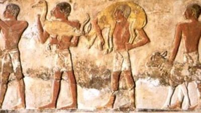 مقابر مجهولة.. «نفر - بتاح» تكشف حياة الزراعة عند الفراعنة.. والبئر الفارسية الأغرب.. تابوت «إمنتف» سبب الوصول لسوائل التحنيط.. وتمثيل الفلاسفة الإغريق ضمن القائمة