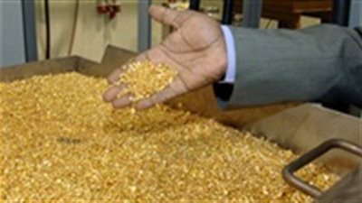 شحن 395 كجم ذهب من منجم السكري بمطار القاهرة إلى كندا