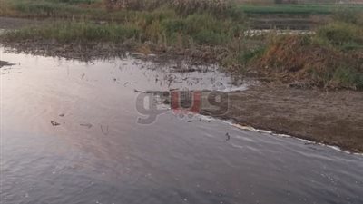 البيئة: إجراءات عاجلة لمتابعة إزالة تلوث نهر النيل بسوهاج