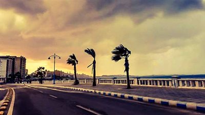 محافظ مطروح يقرر تعطيل الدراسة بالمدارس والكليات غدا بسبب الأحوال الجوية