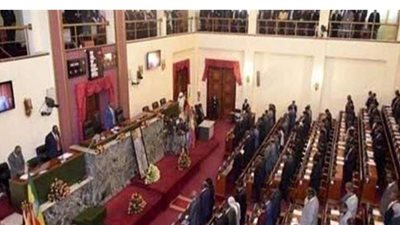 البرلمان الإثيوبي يقر خطة إقالة المجلس والحكومة المحليين في تيجراي