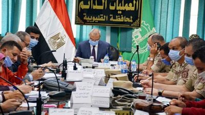 محافظ القليوبية يتابع فتح اللجان وانتظام عملية التصويت