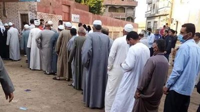 إقبال كثيف على لجان الدائرة الأولى بكفرالشيخ | صور