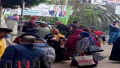 لليوم الثاني.. السيدات يتصدرن المشهد الانتخابي بالغربية | صور