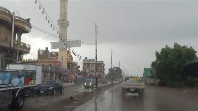 الأمطار تضرب عددا من المناطق بالدقهلية | فيديو وصور