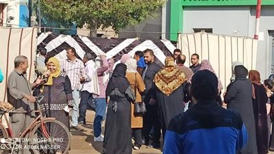 السيدات تتصدر المشهد الانتخابي  بدائرة مرتضى منصور في الدقهلية | صور