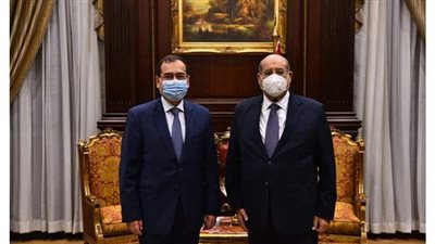 رئيس مجلس الشيوخ يستقبل وزير البترول