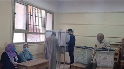 الالتزام بالإجراءات الاحترازية داخل لجنة مرتضى منصور بالدقهلية | فيديو