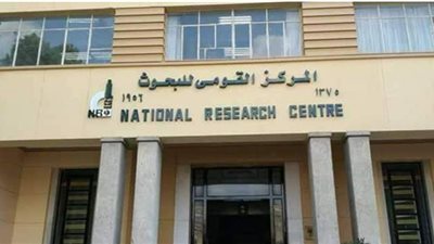 أستاذة بالقومي للبحوث: سوء التغذية يضعف المناعة