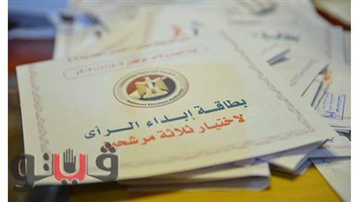 الحصر العددي لأصوات اللجنة الفرعية رقم 16  بالمرج.. 252 صوتا لأحمد علي و151 لهيكل