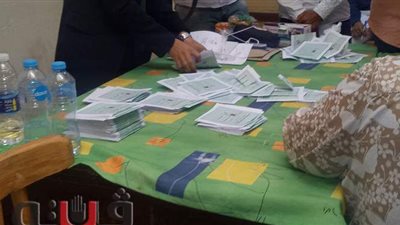 تقدم قائمة أبناء مصر في الحصر العددي لـ3 لجان بالشرقية ودمياط