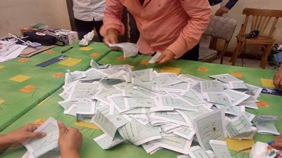 تقدم القائمة الوطنية في الحصر العددي بـ3 لجان فرعية بالدقهلية