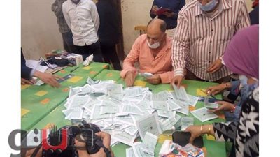 الحصر العددي للجنة 19  بروض الفرج.. 478 صوتا لمحمد عبد الرحمن و217 للرفاعي