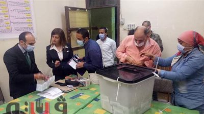 غرائب الحصر العددي للجنة ٣٦ الفرعية بالعريش.. 3 مرشحين حصلوا على صوتين وآخر 