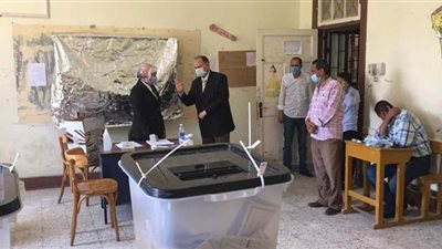 الأطفال يشاركون مع أمهاتهم خلال التصويت داخل اللجان الفرعية | فيديو